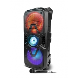 Xtech - Speaker system - Black - Wls50W 6.5in-XTS-702